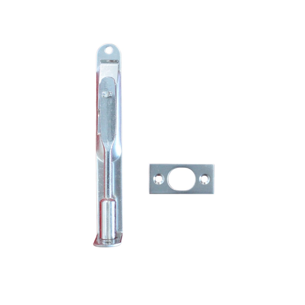 Flush Bolt with Plate